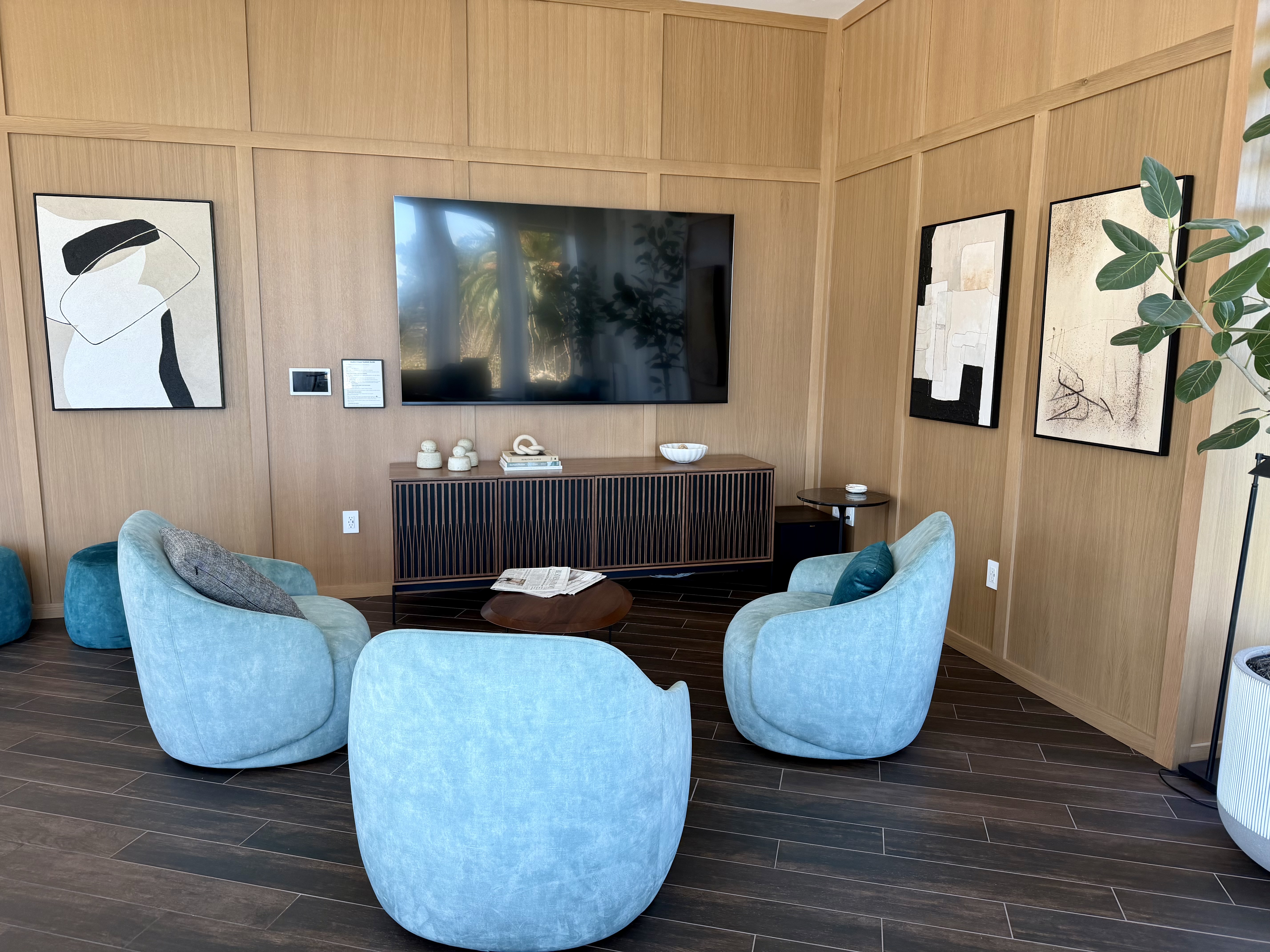 Media room with large screen TV